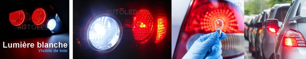 Ampoule LED P21W / 18 LEDS BLANC / Ampoule LED BA15s AUTOLED® – Image 15