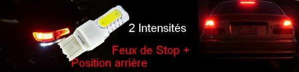 Ampoule LED W21/5W / 4 LEDS BLANC / LED T20 AUTOLED® – Image 9