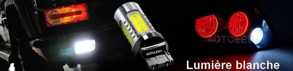 Ampoule LED W21W / 4 LEDS BLANC / LED T20 AUTOLED® – Image 13