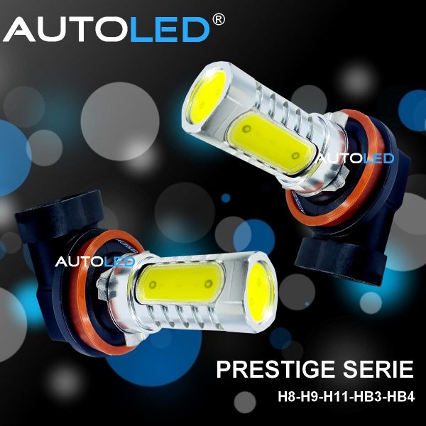 LED H8 4 LEDS COB BLANC AUTOLED® – Image 2