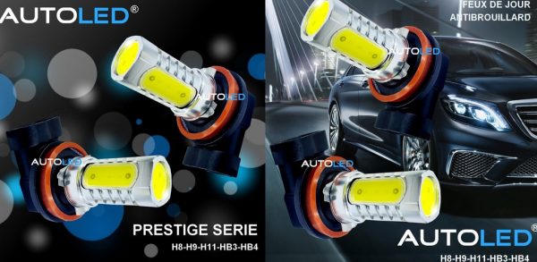 LED H8 4 LEDS COB BLANC AUTOLED® – Image 9
