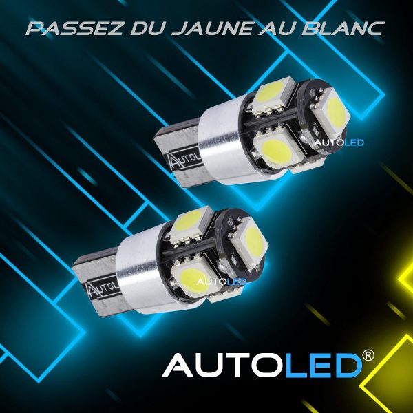 ampoule navette led 31mm