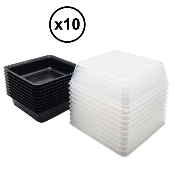 10 Boîtes Alimentaires Carrées 17 x 17 cm pour Préparation des Repas, Lunch Box, Réutilisables sans BPA 100% Français - D-Work – Image 3