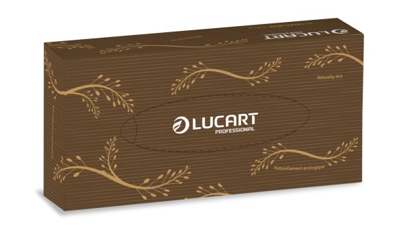 Carton de 40 boites de 100 mouchoirs econatural - LUCART - Mouchoir