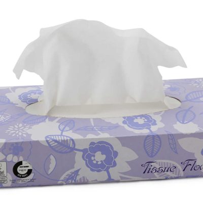 Carton de 40 boites de 100 mouchoirs celtex eco label - CELTEX - Mouchoir