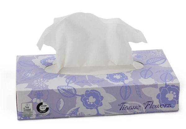 Carton de 40 boites de 100 mouchoirs celtex eco label - CELTEX - Mouchoir