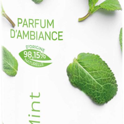 Vapolux fresh mint parfum d ambiance les 125ml - PRODIFA - DESODORISANT
