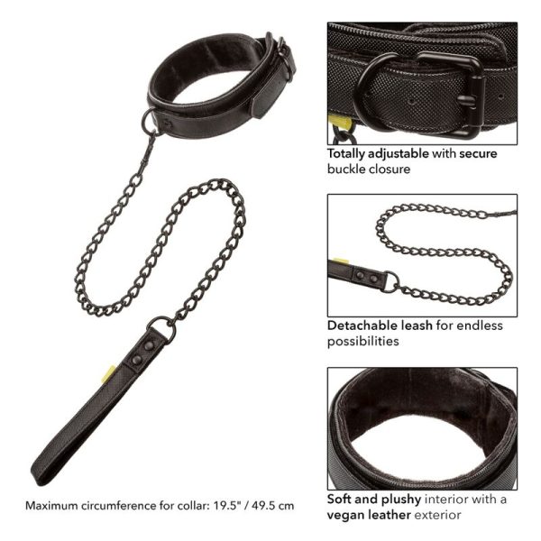 CALIFORNIA EXOTICS - COLLIER ET LAISSE SANS LIMITES - – Image 2