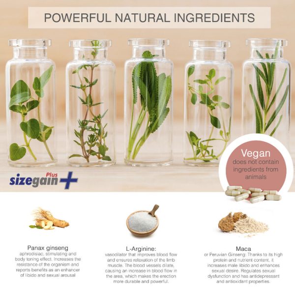 500 COSMETICS - PILULES SIZEGAIN PLUS POUR AGRANDIR LE PÉNIS - – Image 2