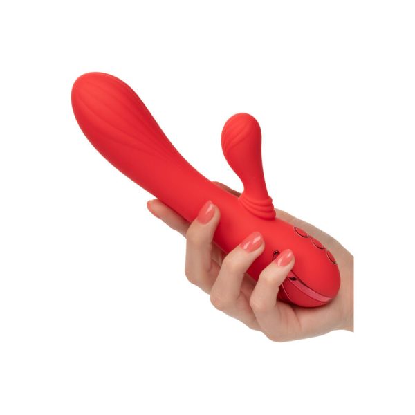 CALIFORNIA EXOTICS - PALISADES PASSION ROUGE - – Image 7