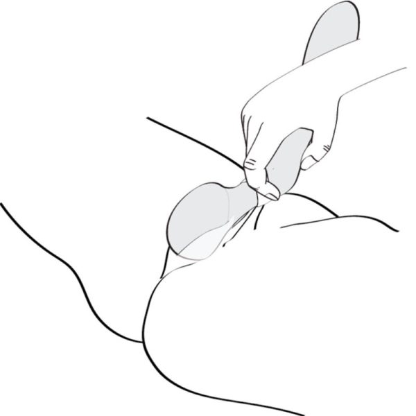 SHUNGA - MASSEUR INTIME ZOA ROSE - – Image 7