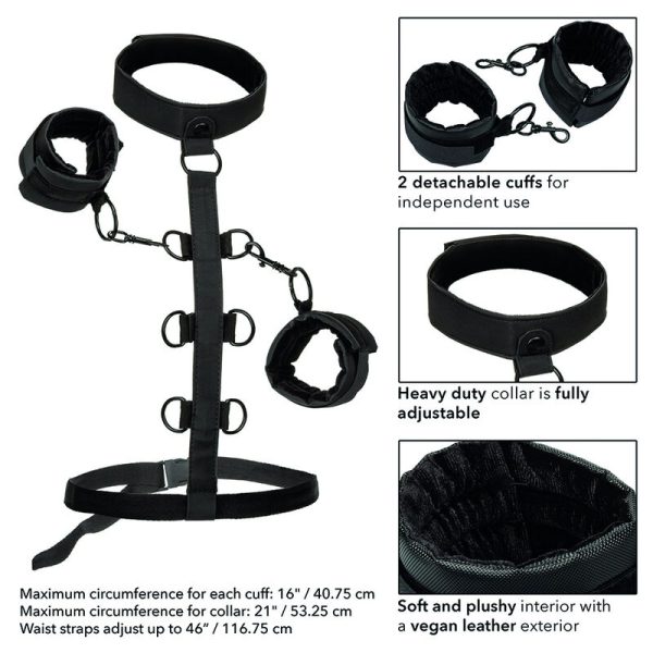 CALIFORNIA EXOTICS - BOUNDLESS COLLIER DE RETENUE - – Image 6