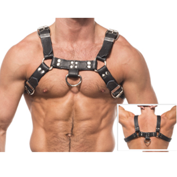LEATHER BODY - HARNAIS DE CHAÎNE DE III -
