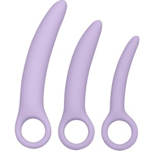 CALIFORNIA EXOTICS - DR LAURA BERMAN ALENA ENSEMBLE DE 3 DILATEURS EN SILICONE -