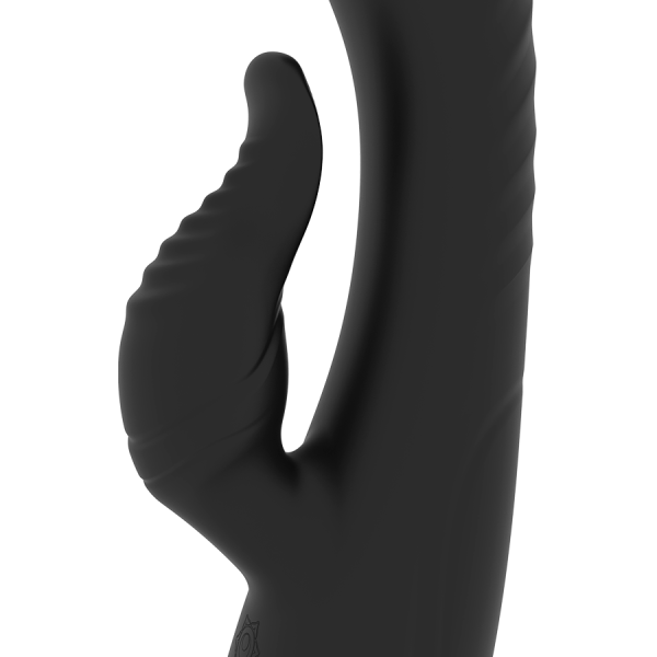 RITHUAL - ANUSARA DOUBLE MOTEUR RECHARGEABLE 2.0 NOIR - – Image 4