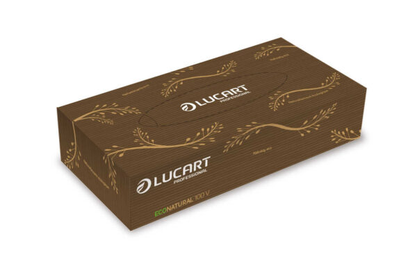 Carton de 40 boites de 100 mouchoirs econatural - LUCART - Mouchoir – Image 2