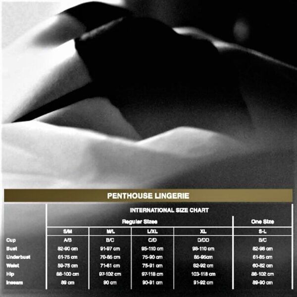 PENTHOUSE - TROP CHAUD POUR ÊTRE VRAI THONG NOIR L/XL - – Image 3