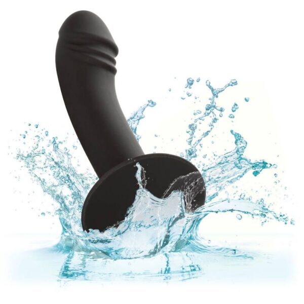 CALIFORNIA EXOTICS - STUD ANAL COURB? - – Image 5