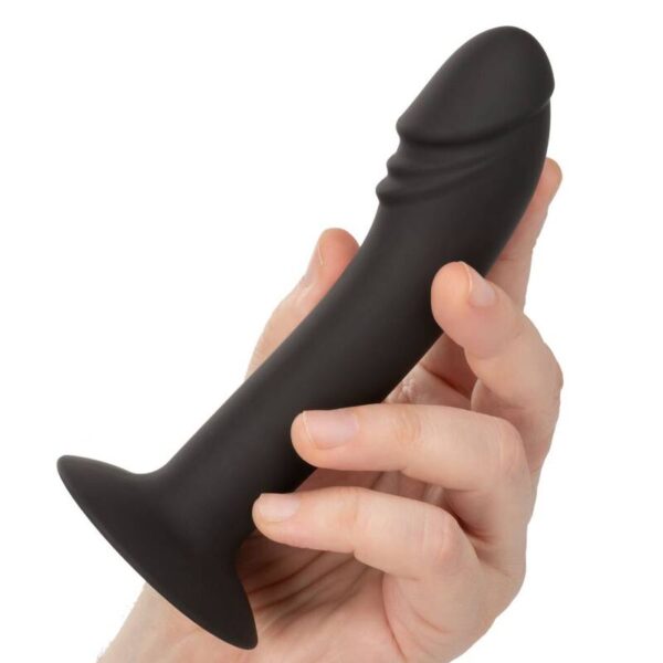 CALIFORNIA EXOTICS - STUD ANAL COURB? - – Image 6