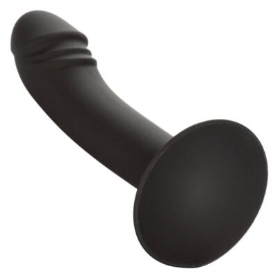 CALIFORNIA EXOTICS - STUD ANAL COURB? -
