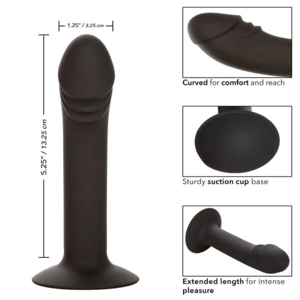 CALIFORNIA EXOTICS - STUD ANAL COURB? - – Image 4