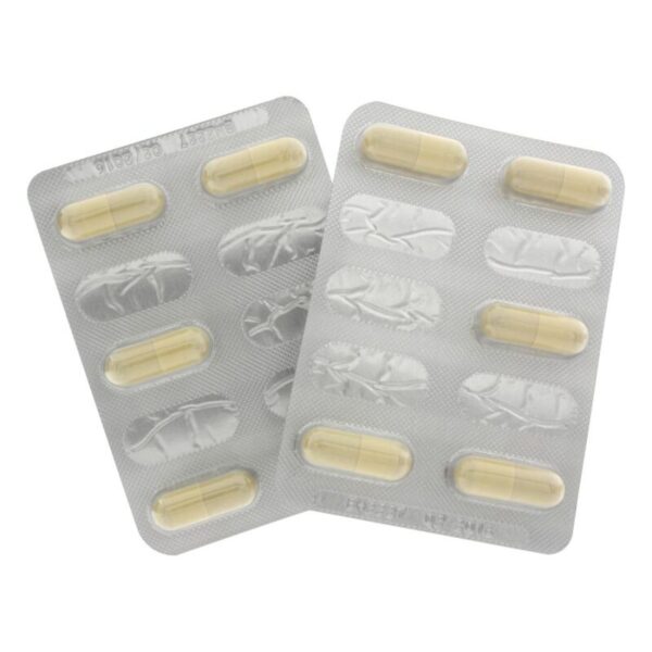 HOT - EXXTREME LIBIDO CAPS FEMME 10 PCS - – Image 2