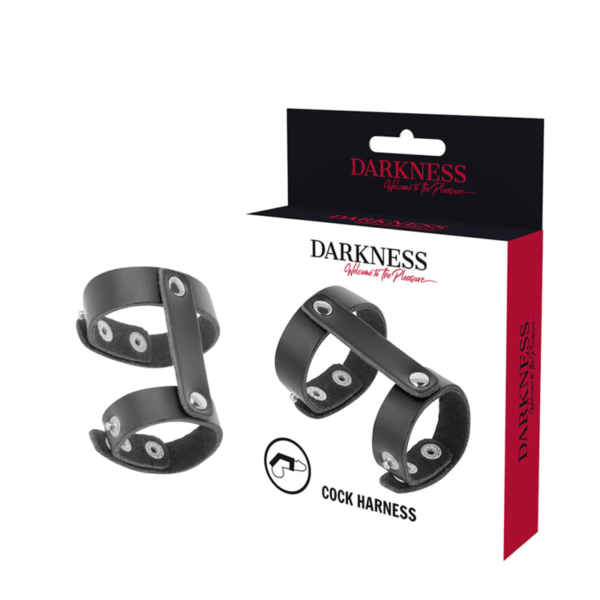 DARKNESS - ANNEAU DE PÉNIS ET TESTICULES RÉGLABLE EN CUIR -
