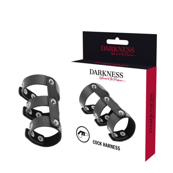 DARKNESS - DOUBLE ANNEAU DE PÉNIS ET TESTICULES EN CUIR RÉGLABLE -