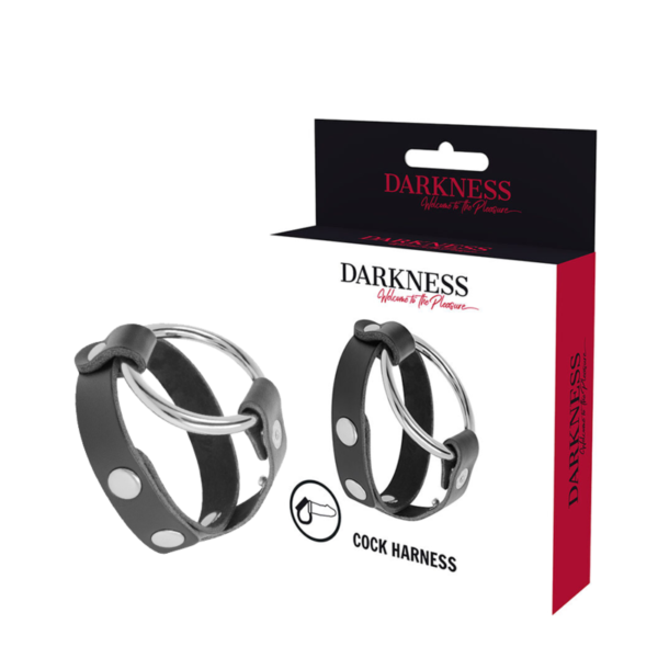DARKNESS - ANNEAU DE BITE ET TESTICULE BDSM -