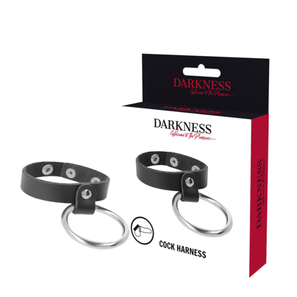 DARKNESS - ANNEAU MÉTALLIQUE POUR LE PÉNIS ET LES TESTICULES - – Image 2