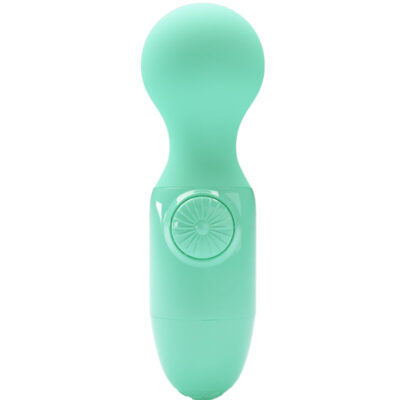 PRETTY LOVE - MINI MASSEUR PERSONNEL VERT -