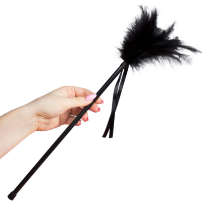 SECRETPLAY - PLUMES NOIRES 40 CM -
