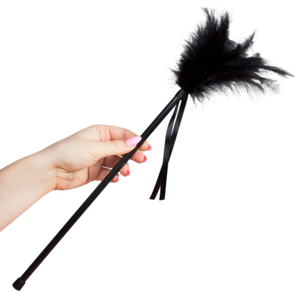 SECRETPLAY - PLUMES NOIRES 40 CM -