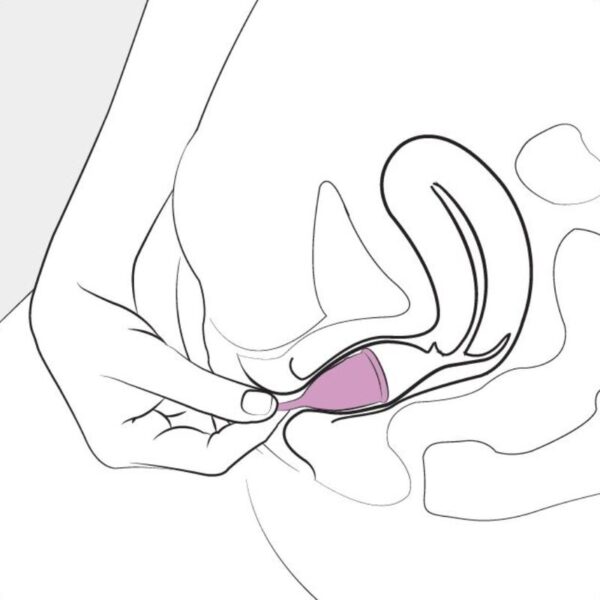 FEMINTIMATE - COUPE MENSTRUELLE EN SILICONE EVE TAILLE L - – Image 5