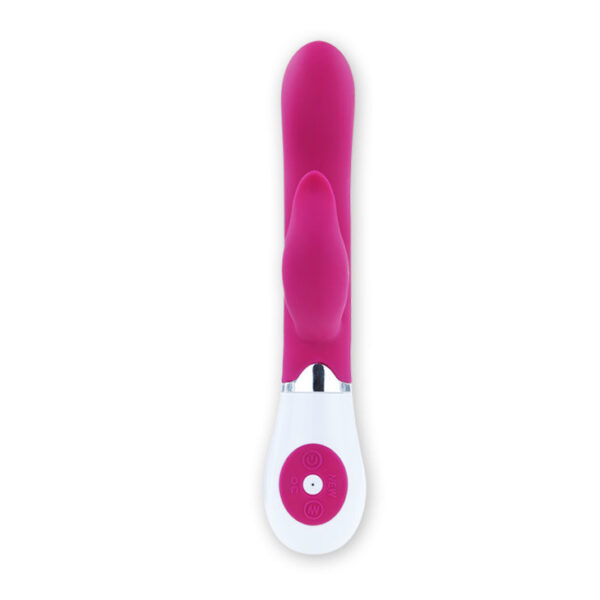 PRETTY LOVE - FLIRTATION VIBRATEUR AVEC STIMULATEUR FELIX - – Image 3