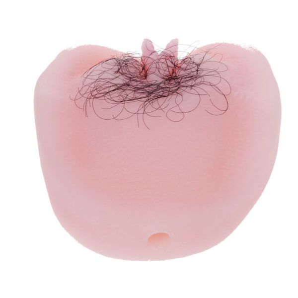 BAILE - CHATTE VIBRATON ANTHEA MAGIC FLESH - – Image 7
