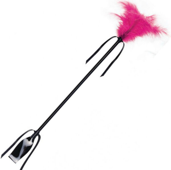 SECRETPLAY - FOUET & FEATHER NOIR ET FUCHSIA - – Image 2