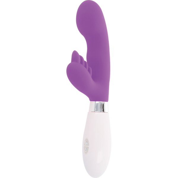 GLOSSY - LAPIN ELVIS VIOLET - – Image 4