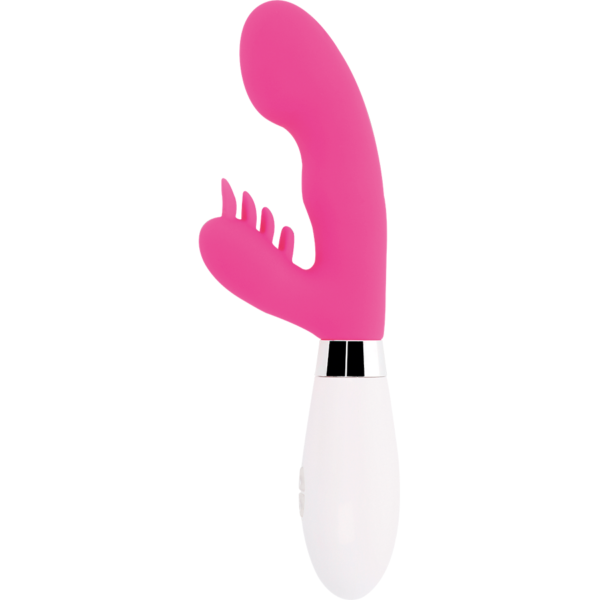 GLOSSY - LAPIN ELVIS ROSE - – Image 2