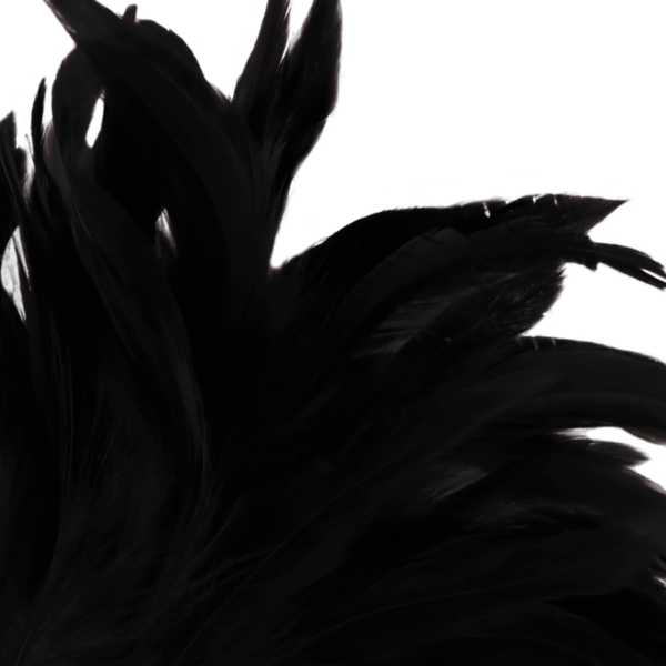 DARKNESS - STYLO STIMULANT NOIR LUX - – Image 3