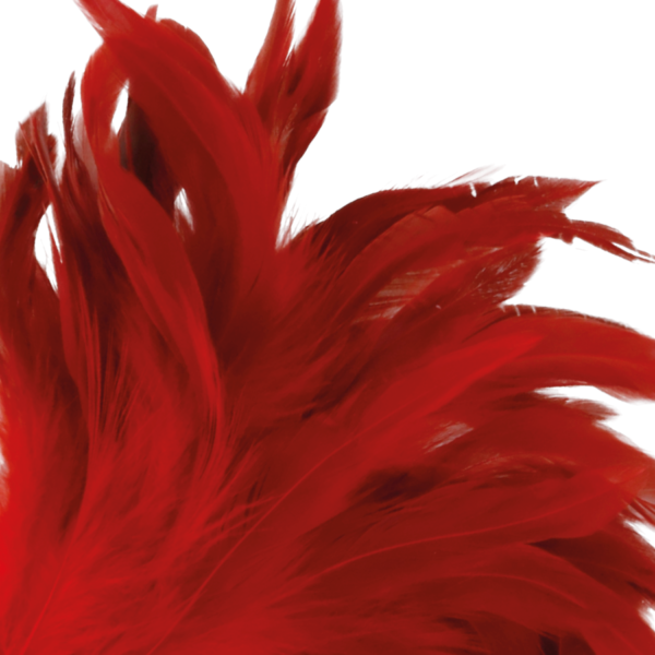DARKNESS - STYLO STIMULANT ROUGE 24CM - – Image 2