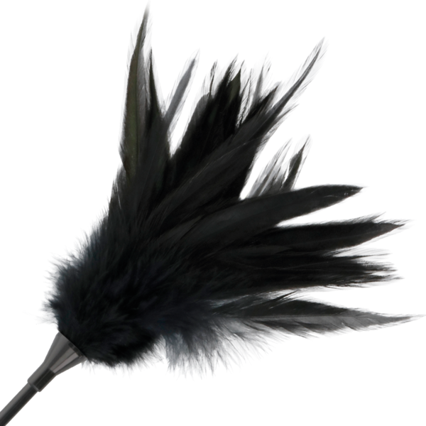 DARKNESS - FOUET À PLUME NOIRE - – Image 3