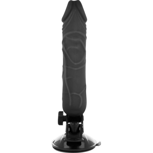 BASECOCK - VIBRATEUR RÉALISTE TÉLÉCOMMANDE NOIR 20 CM -O- 4 CM - – Image 4
