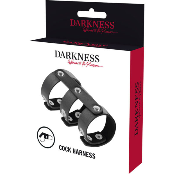 DARKNESS - DOUBLE ANNEAU DE PÉNIS ET TESTICULES EN CUIR RÉGLABLE - – Image 5