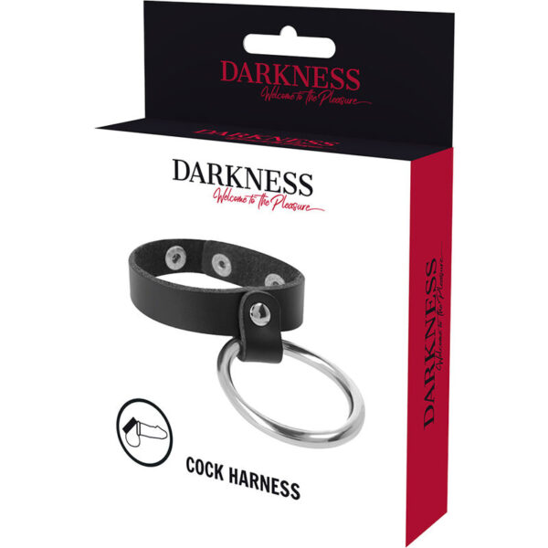 DARKNESS - ANNEAU MÉTALLIQUE POUR LE PÉNIS ET LES TESTICULES - – Image 5