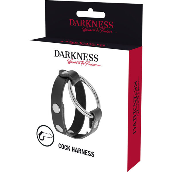 DARKNESS - ANNEAU DE BITE ET TESTICULE BDSM - – Image 5