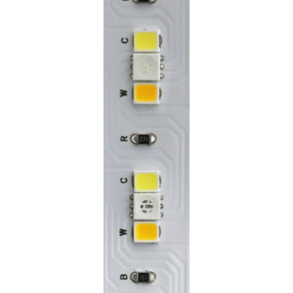 Tira Led 24V Dc Smd2835+3535 Classique Ip20 Rgb+Cct 168 Led/m - 5 Métros - Ledme - LM2473 – Image 3