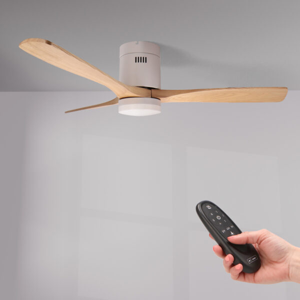 Ventilateur de plafond LED White Energy - Ledme - LM8090