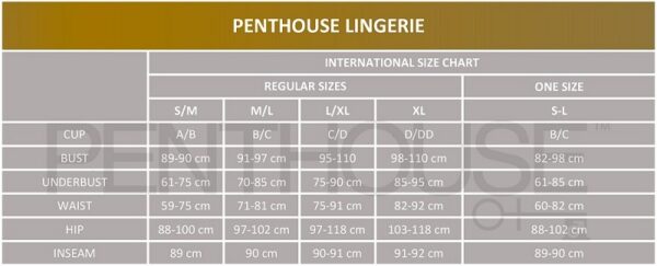 PENTHOUSE - HOTTIE BODYSTOCKING NOIR XL - – Image 4