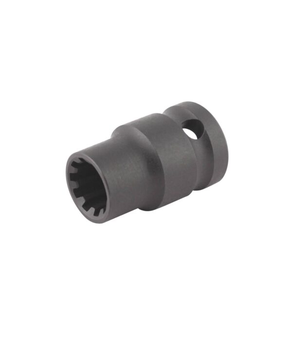 Douille 10 pans 15mm 1/2" CrV pour étrier de frein - OM 0192 - CLAS Equipements – Image 2